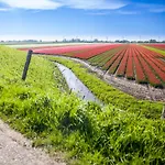 5 Personen - Zeezand Recreatie