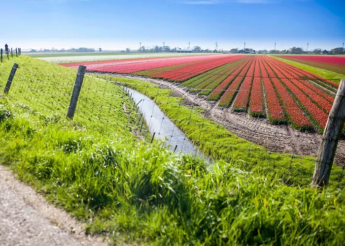 5 Personen - Zeezand Recreatie