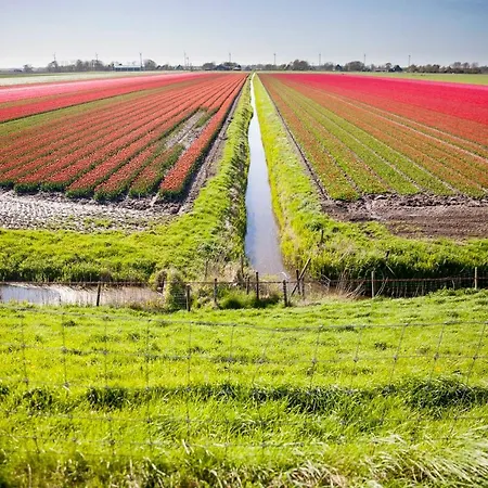 Tatil Evi 5 Personen - Zeezand Recreatie Stolpen