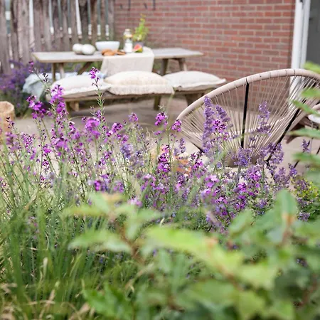 Holiday home 5 Personen - Zeezand Recreatie