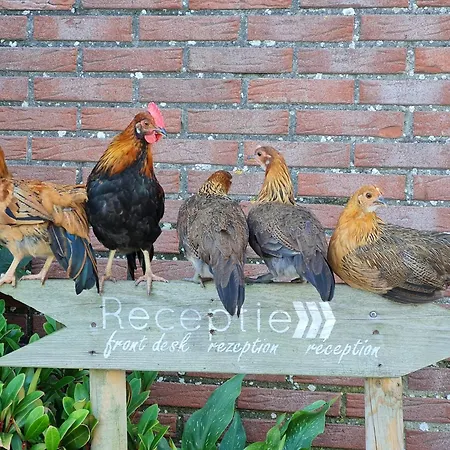 5 Personen - Zeezand Recreatie Stolpen